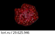 Isolated red raspberry squished in the studio with black background. Стоковое видео, видеограф Dzmitry Astapkovich / Фотобанк Лори