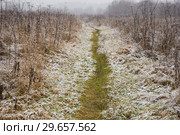 Тропинка через поле. Снег и зеленая трава. Стоковое фото, фотограф Яковлев Сергей / Фотобанк Лори