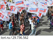 Сторонники президента Путина на демонстрации (2015 год). Редакционное фото, фотограф Александр Алексеев / Фотобанк Лори