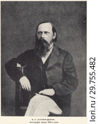 Михаил Евграфович Салтыков-Щедрин. Фотография 1870-х годах. Стоковая иллюстрация, иллюстратор Макаров Алексей / Фотобанк Лори