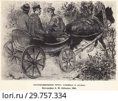 "Благонамеренные речи". Кандидат в столпы. Литография А.И. Лебедева, 1880 год. Стоковая иллюстрация, иллюстратор Макаров Алексей / Фотобанк Лори
