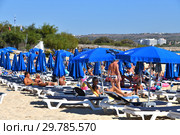 Ayia Napa, Cyprus - November 1. 2018. People on Sun loungers on Makronissos Beach Resort. Редакционное фото, фотограф Володина Ольга / Фотобанк Лори
