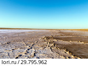 Steppe saline soils. Steppe prairie veldt veld. Saline soils of the desert. Salt lakes. Стоковое фото, фотограф Евгений Ткачёв / Фотобанк Лори