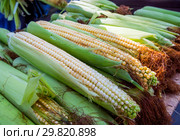 Початки кукурузы продаются на овощном рынке. Стоковое фото, фотограф Вячеслав Палес / Фотобанк Лори