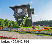 Парк цветов в Дубае (Dubai Miracle Garden). Объединённые Арабские Эмираты (2014 год). Редакционное фото, фотограф Сергей Афанасьев / Фотобанк Лори