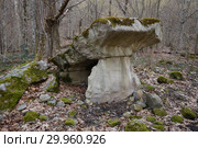 Краснодарский край, Туапсинский район, дольмен недалеко от аула Малое Псеушхо (2019 год). Стоковое фото, фотограф glokaya_kuzdra / Фотобанк Лори