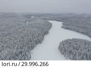Amazing Wild Olanga River In Frozen Forest. Really Snowly Winter On The North. Aerial,  Paanajärvi, Karelia, Russia. Стоковое фото, фотограф Кирилл Трифонов / Фотобанк Лори