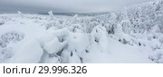 Aerial panorama of winter snowy landscape with forest, Kevakka mountain and lake, Paanajärvi, Karelia, Russia. Стоковое фото, фотограф Кирилл Трифонов / Фотобанк Лори