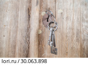 Огромные железные ключи в замочной скважине. Стоковое фото, фотограф Яковлев Сергей / Фотобанк Лори