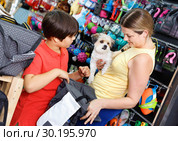 Careful family visiting pet shop in search of bag for transportation for their dog. Стоковое фото, фотограф Яков Филимонов / Фотобанк Лори
