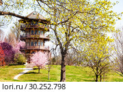 Patterson Park Pagoda tower in Spring, Baltimore (2018 год). Стоковое фото, фотограф Сергей Новиков / Фотобанк Лори