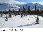 Плато Путорана, полуостров Таймыр. Зимний пейзаж. В 2010 году Плато Путорана было внесено во всемирное наследие ЮНЕСКО. Стоковое фото, фотограф Ирина Рябинина / Фотобанк Лори