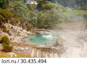 One of the many geysers, hot-springs and fumaroles scattered in the center of the village of Furnas, Sao Miguel Island, Azores (2012 год). Стоковое фото, фотограф Юлия Бабкина / Фотобанк Лори