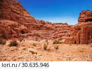View of the amphitheatre in Petra, capital of the Nabatean Kingdom, Jordan (2012 год). Стоковое фото, фотограф Наталья Волкова / Фотобанк Лори