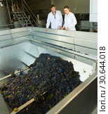 Winemakers controlling crushing of grapes. Стоковое фото, фотограф Яков Филимонов / Фотобанк Лори