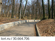 Красивая прогулочная дорожка в парке. Дорожка для бега, велосипедистов и скандинавской ходьбы. Город Москва, Филевский парк (2019 год). Стоковое фото, фотограф Щеголева Ольга / Фотобанк Лори