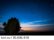 Звездное небо, Млечный Путь, пейзаж. Стоковое фото, фотограф Евгений Горбунов / Фотобанк Лори