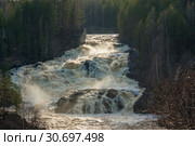 Водопад Гирвас в Карелии. Кондопожский район. Весенний сброс воды на Пальеозерской ГЭС. Стоковое фото, фотограф Сергей Цепек / Фотобанк Лори