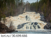 Водопад Гирвас в Карелии. Кондопожский район. Весенний сброс воды на Пальеозерской ГЭС. Стоковое фото, фотограф Сергей Цепек / Фотобанк Лори