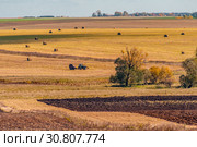 Трактор складывает сено в поле. Стоковое фото, фотограф Евгений Горбунов / Фотобанк Лори