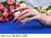Моделирование ногтей (2019 год). Редакционное фото, фотограф Николай Щенников / Фотобанк Лори