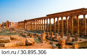 Panorama of Palmyra columns and ancient city, destroyed now, Syr (2011 год). Стоковое фото, фотограф Сергей Майоров / Фотобанк Лори