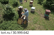 Горная пасека. Пчеловоды за работой. Вид с воздуха. Mountain apiary. Beekeepers at work. Aerial view. Стоковое видео, видеограф Евгений Романов / Фотобанк Лори