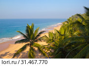 Seashore with  palm trees. India. Kerala (2014 год). Стоковое фото, фотограф Куликов Константин / Фотобанк Лори