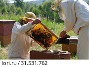 Горная пасека. Пчеловоды за работой. Mountain apiary. Beekeepers at work. (2012 год). Редакционное фото, фотограф Евгений Романов / Фотобанк Лори