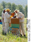 Горная пасека. Пчеловоды за работой. Mountain apiary. Beekeepers at work. (2012 год). Редакционное фото, фотограф Евгений Романов / Фотобанк Лори