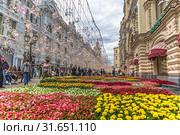 Седьмой ежегодный фестиваль живых цветов в ГУМе, июль 2019 года. Никольская улица. Город Москва. Редакционное фото, фотограф Владимир Сергеев / Фотобанк Лори