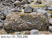 Polymictic conglomerate of volcanic origin. Стоковое фото, фотограф Виктор Никитин / Фотобанк Лори