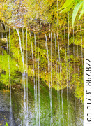 Ecology and nature. The source of clean drinking spring water among stone rocks and moist fresh green moss. Spring "Wailing Wall" in the Saratov region village Gremyachka. Стоковое фото, фотограф Светлана Евграфова / Фотобанк Лори