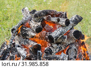 Горящий на поляне костёр. Birning campfire. Стоковое фото, фотограф Евгений Романов / Фотобанк Лори