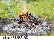 Горящий на поляне костёр. Birning campfire. Стоковое фото, фотограф Евгений Романов / Фотобанк Лори