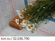 Рубель и ромашки. На домотканой дорожке. Стоковое фото, фотограф Анатолий Матвейчук / Фотобанк Лори