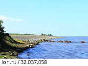 Кони спасаются от гнуса в воде Байкала. Стоковое фото, фотограф Валерий Митяшов / Фотобанк Лори