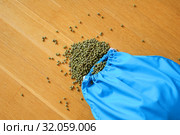 Green mung bean in blue reusable package on wooden background. Copy space. Стоковое фото, фотограф Ольга Балынская / Фотобанк Лори