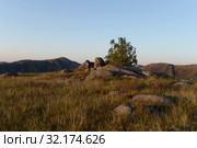 Вечер в горах Алтая у реки Чарыш. Стоковое фото, фотограф Free Wind / Фотобанк Лори