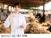 Professional female vet standing near calves barn in livestock farm. Стоковое фото, фотограф Яков Филимонов / Фотобанк Лори