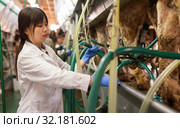 Farm milkmaid in bathrobe in barn with automatical cow milking machines. Стоковое фото, фотограф Яков Филимонов / Фотобанк Лори