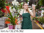 Positive woman picking a bromelia flower in the flower shop. Стоковое фото, фотограф Яков Филимонов / Фотобанк Лори
