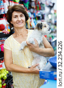 Portrait of happy elderly woman visiting pet supplies store with her cute puppy of havanese. Стоковое фото, фотограф Яков Филимонов / Фотобанк Лори