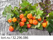 Морошка среди листьев на сером деревянном фоне. Стоковое фото, фотограф Наталья Осипова / Фотобанк Лори