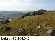 Долина горной реки Чарыш. Алтайский край. Стоковое фото, фотограф Free Wind / Фотобанк Лори