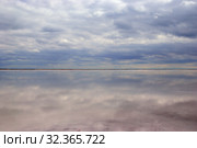 Hydrochloric birches Azov Sea. Стоковое фото, фотограф Арестов Андрей Павлович / Фотобанк Лори