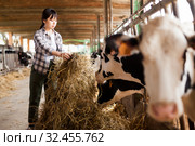 Farm worker feeding cows with hay. Стоковое фото, фотограф Яков Филимонов / Фотобанк Лори