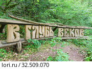Надпись из дерева "В глубь веков" в Тисо-Самшитовой роще. Хоста, Сочи, Краснодарский край (2019 год). Редакционное фото, фотограф Наталья Гармашева / Фотобанк Лори