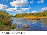 Река Луга в парке Романовка. Кингисепп. Ленинградская область (2019 год). Стоковое фото, фотограф Сергей Афанасьев / Фотобанк Лори