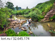 Село Лушники, Сузунский район, Новосибирская область, Западная Сибирь, Россия. Река Нижний Сузун с сельскими детьми на рыбалке (2019 год). Редакционное фото, фотограф Евгений Мухортов / Фотобанк Лори